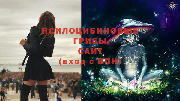 соль ск Абдулино