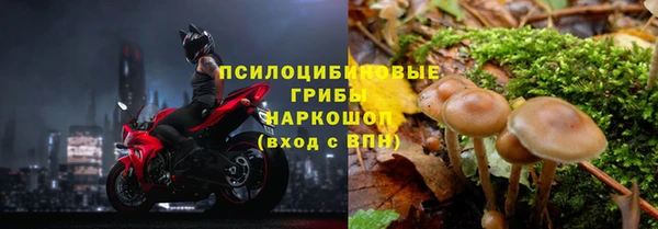 соль ск Абдулино