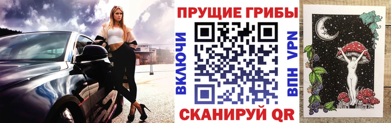 продажа наркотиков  Партизанск  Псилоцибиновые грибы ЛСД 