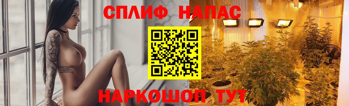 Партизанск  МАРИХУАНА планчик  Марихуана индика  Вход с VPN  Бошки марихуана индика 